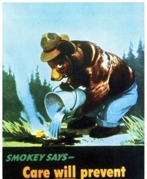 Smokey Bear gets a new voice, gets emoji for his 75th birthday ...